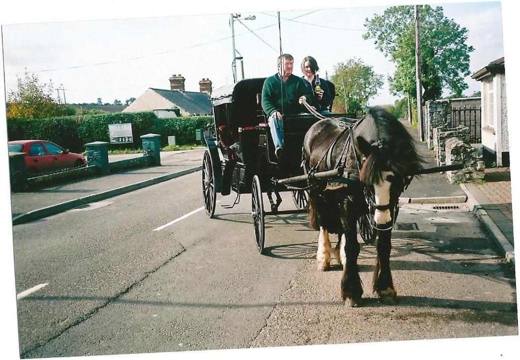 Dalys Inn Donore  Exterior foto